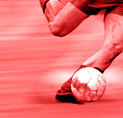 Logo Online Sportwetten International